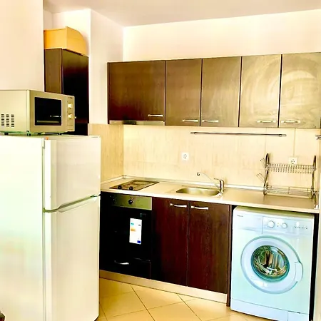 Grand Kamelia Sunny * 阳光海滩