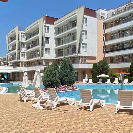 Grand Kamelia Sunny Daire